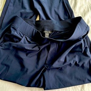 Athleta Brooklyn Ankle Pants. Navy. 12 Petite